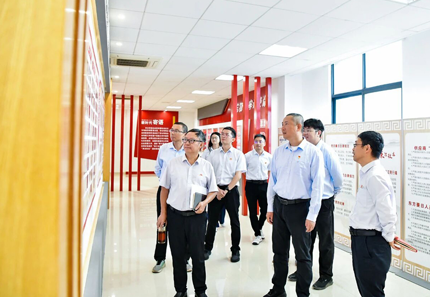 红帆聚力 赋能同行|公司第二党支部与华能南通电厂工程党支部举行党建共建交流活动